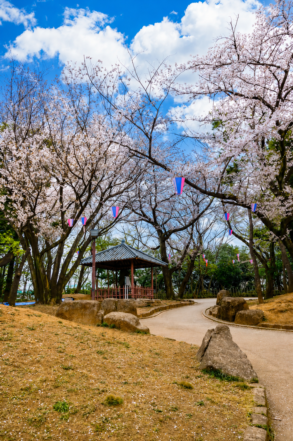 飛鳥山公園の桜